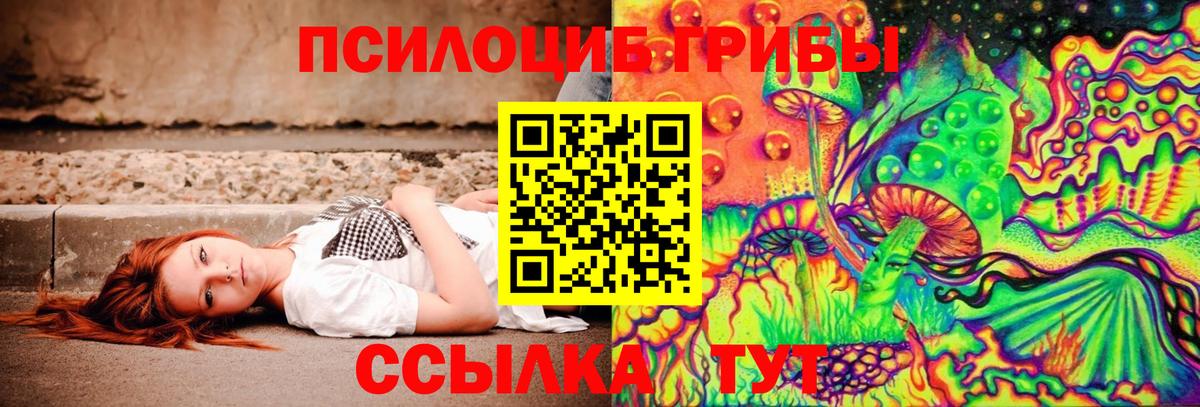 Оренбург  что такое наркотик  Вход с VPN  Галлюциногенные грибы Psilocybe 